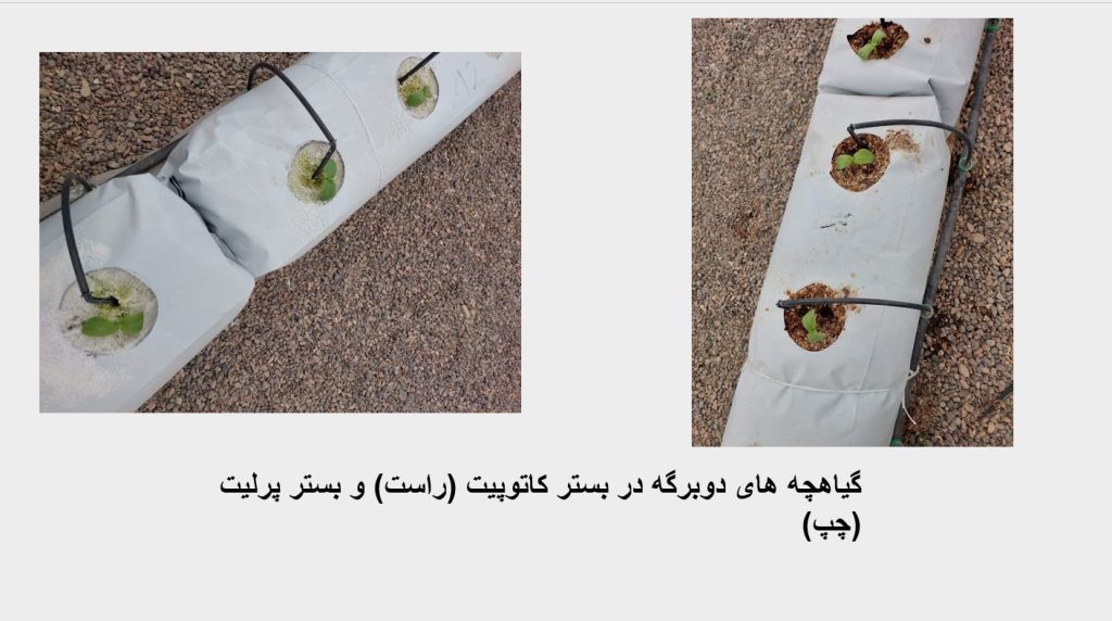 Screenshot 2025-03-02 110334