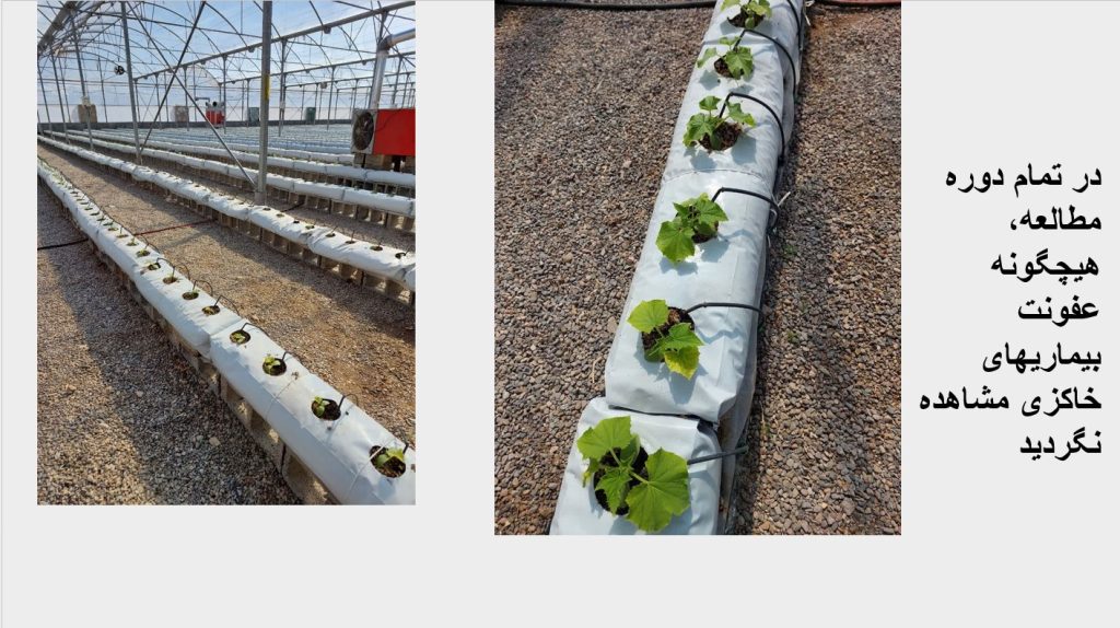 Screenshot 2025-03-02 110345