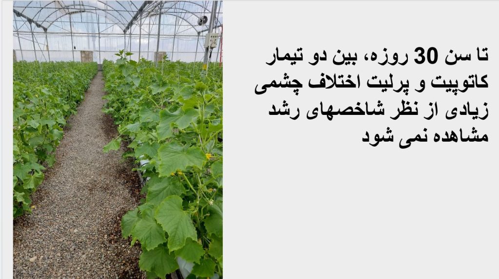 Screenshot 2025-03-02 110409