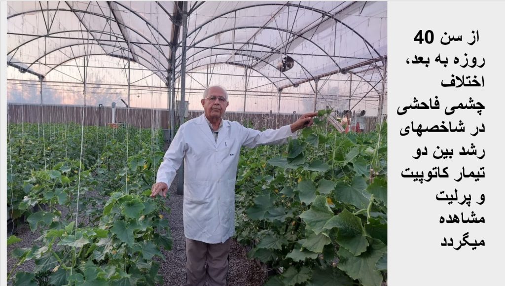 Screenshot 2025-03-02 110420