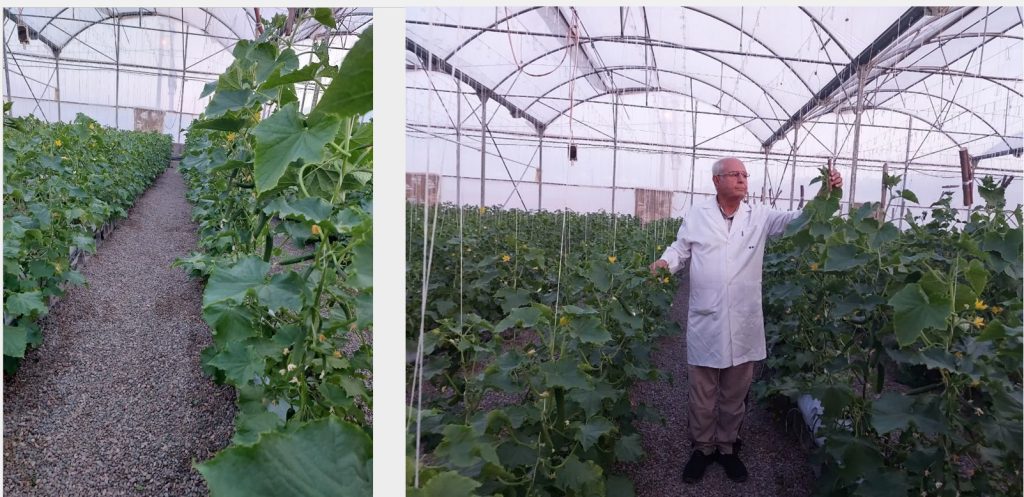 Screenshot 2025-03-02 110432