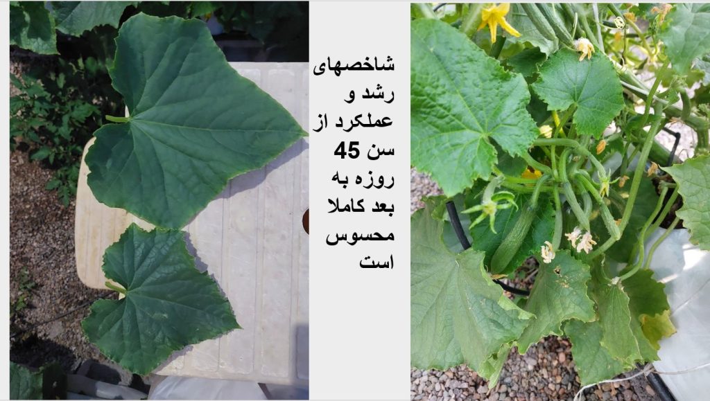 Screenshot 2025-03-02 110442