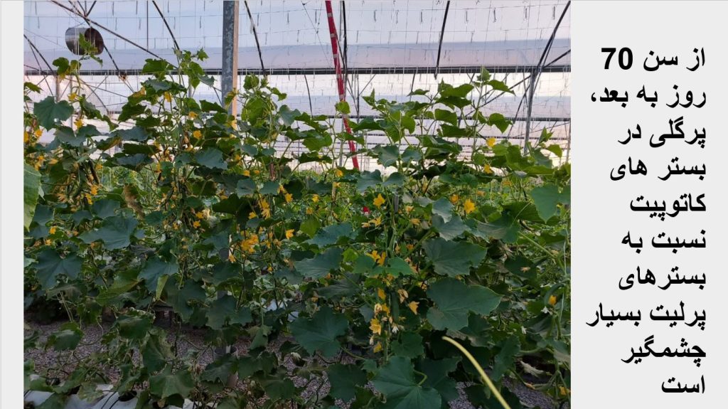 Screenshot 2025-03-02 110503