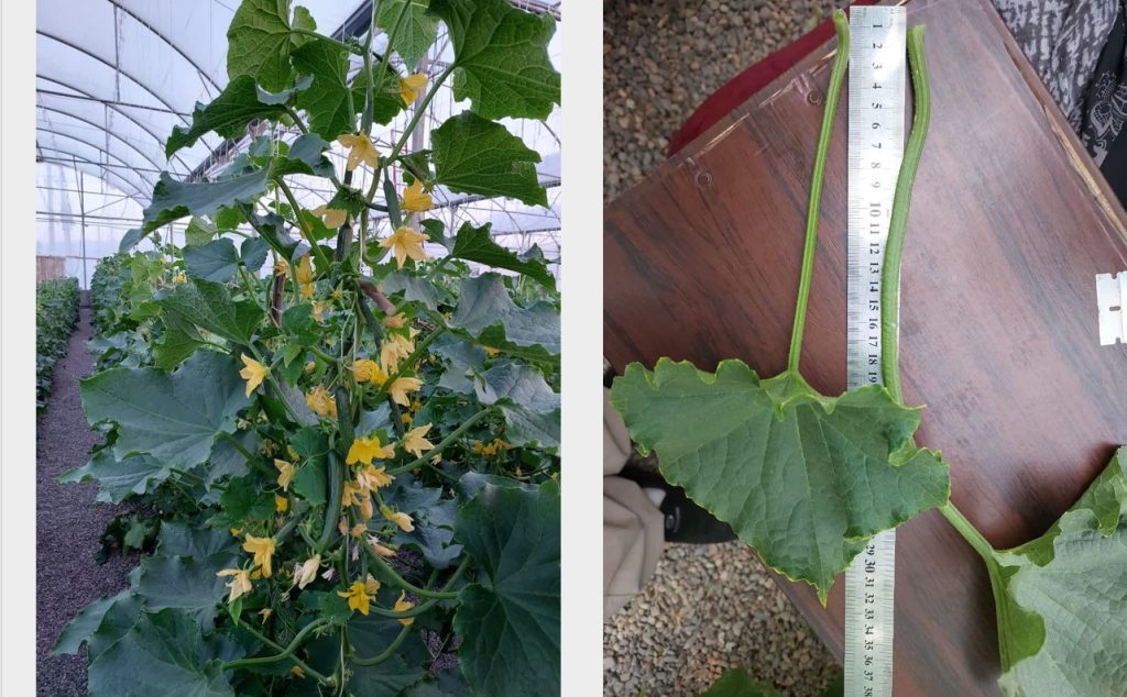 Screenshot 2025-03-02 110514