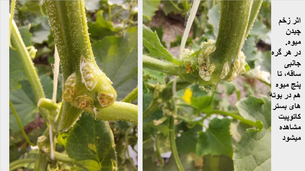 Screenshot 2025-03-02 110532