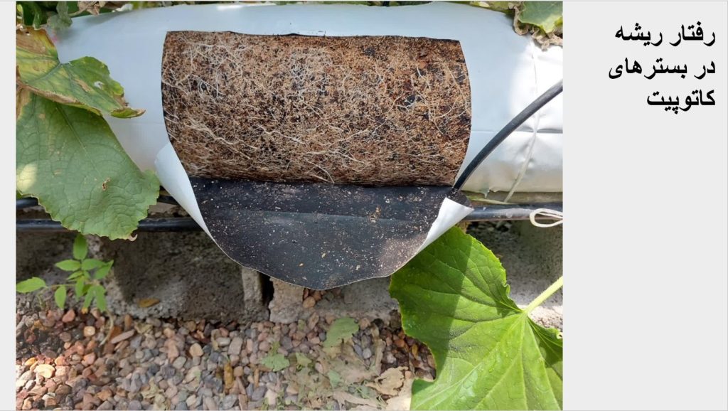 Screenshot 2025-03-02 110542