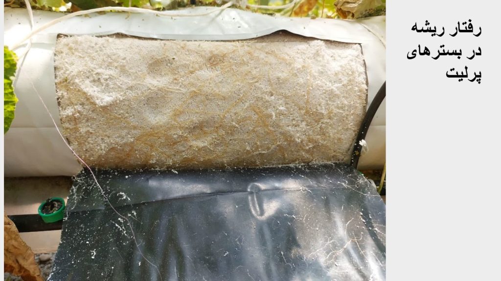 Screenshot 2025-03-02 110633